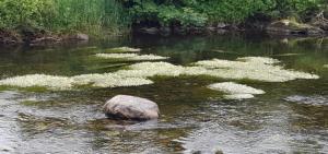 Holiday Cabin Sleeps 5 Caernarfon Snowdonia