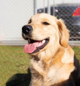 Marco Zero Containers 2