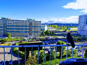 Apartament falowiec