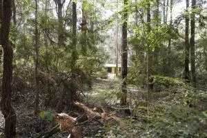 Karriwood Cottage - Northcliffe