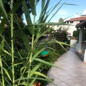 Villetta Romeo Casavacanze