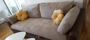 Apartman Ramonda Vrnjacka banja - Trstenik