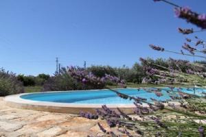 Villa Vodnjan (3556)