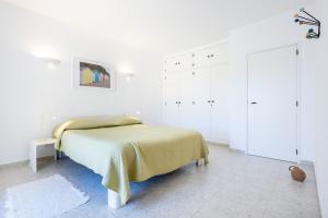 Paraíso dos Pássaros