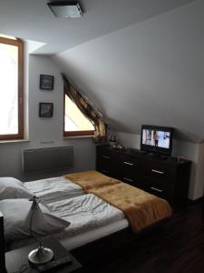 Apartament Paryski