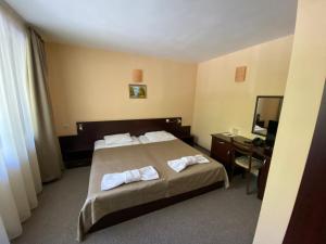 Double Room with Mountain View room in Hotel Complex Chayka