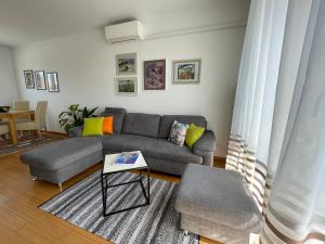 LIPA Apartment 