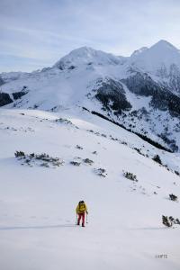 Appartements Belle Sayette - A 200m des pistes - pour 8 personnes : photos des chambres