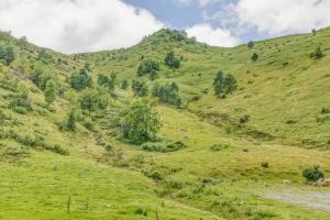 Appartements Appartement pour 8 personnes au pied des montagnes : photos des chambres