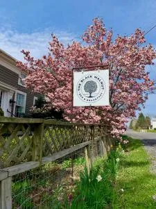 Black Walnut Bed and Breakfast - Ovid