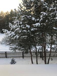 Czerwony Domek na Podlasiu przy lesie