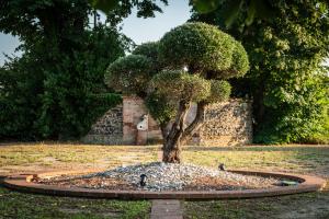 Appart'hotels Residence de Diane - Toulouse : photos des chambres