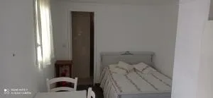 Micromaison proche Beauval et châteaux de la loire - Pruniers