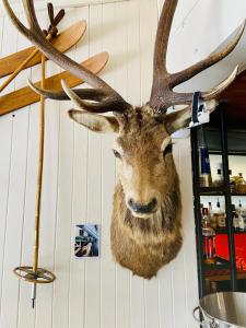 Feathertop Alpine Lodge