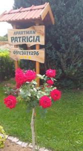 Apartman Patricia