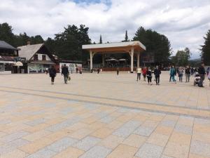 Standardna soba Zlatibor centar 205