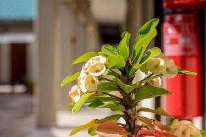 River View Villa Self Catering