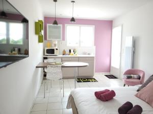 Appartements Coquet studio en Medoc, Jacuzzi et climatisation : photos des chambres