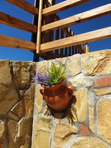 Zlatar Luxury Chalet - TRACE OF NATURE 2214