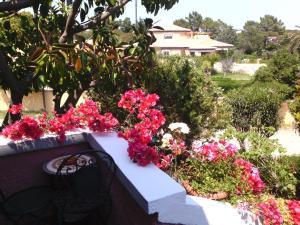 Hotel Abbaruja img13