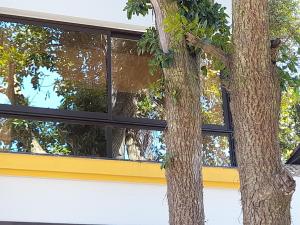 Lindo Estúdio-SALMÃO