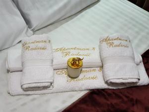 Vila Darija_apartman 8_Radović