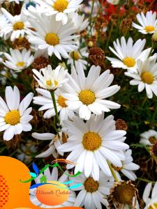 Miravalle Quilotoa Hotel