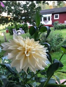 Holiday home with jacuzzi & sauna