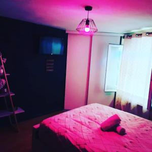 Love hotels Maison avec jacuzzi : photos des chambres