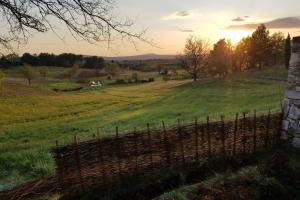 Maisons de vacances Bastide au milieu des vignes et des oliviers Aups : photos des chambres