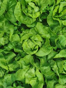 Hotels La Vieille Auberge : photos des chambres