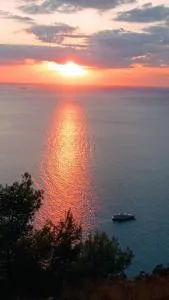 South Side - 雅莎尼奥