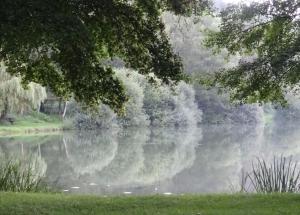 B&B / Chambres d'hotes Bevau - B&B bio : photos des chambres