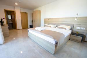 Deluxe King Room room in HOTEL BARON