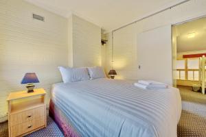 Snow Ski Apartments 14