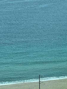 Donghae Oceancity Residence Hotel