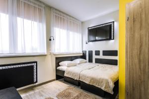 Large Single Room room in Pokoje4you