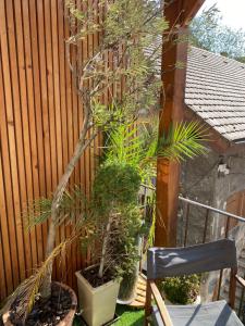 Appartements charmant appartement Annecy : photos des chambres