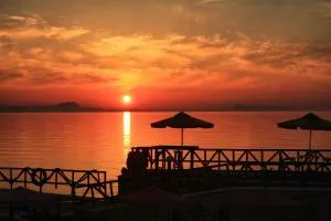 Alkionis Beach Hotel Apartments - 斯法卡基