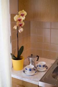 Villa Sveta Eufemija - Bed and breakfast