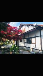 フクロウの御宿 春日居館