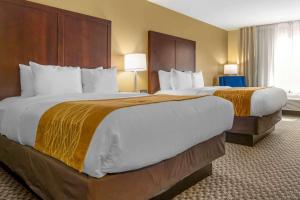 Queen Room with Two Queen Beds room in Comfort Inn Auburn – Seattle