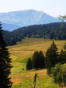 Appartements CHAMROUSSE-SPORT&DETENTE appartement 6 couchages avec superbe vue : photos des chambres