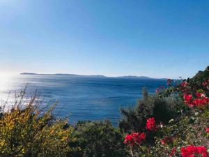 Appartements Villa les Alizes : photos des chambres