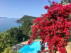 Appartements Villa les Alizes : photos des chambres