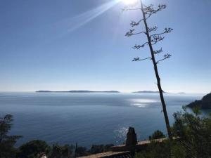 Appartements Villa les Alizes : photos des chambres