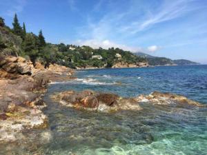 Appartements Villa les Alizes : photos des chambres