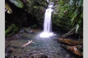 Comfort, Location, and Great Price