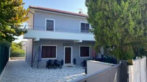 Cingohouse - Marcelli