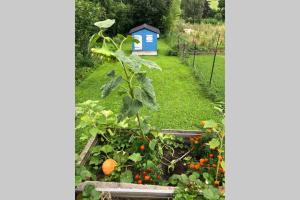 Maisons de vacances Maison au coeur du vignoble Jurassien 90 m2 : photos des chambres